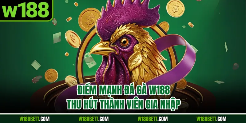 Điểm danh các bên hợp tác cùng đá gà W188