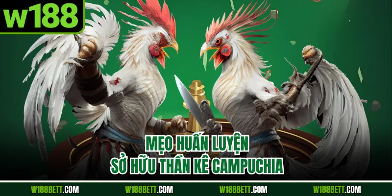 Mẹo huấn luyện sở hữu thần kê Campuchia